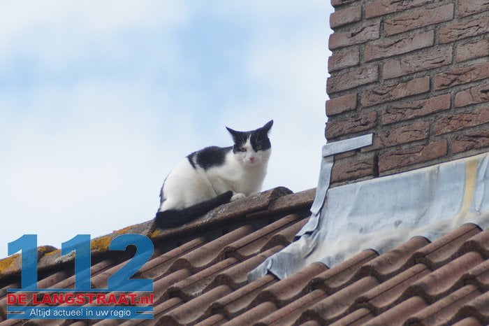 DSC00929
