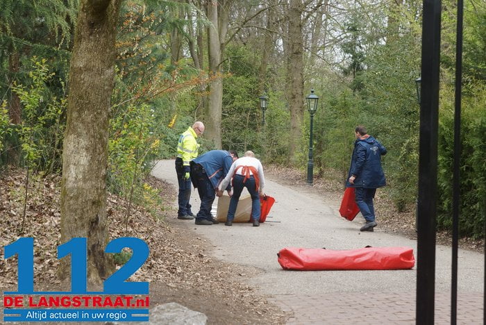 Traumahelikopter landt middenin de Efteling, uitkijktoren Pagode staat even stil 7 Traumahelikopter landt middenin de Efteling, uitkijktoren Pagode staat even stil 112 De Langstraat