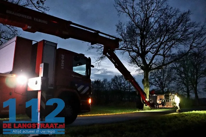 Brandweer redt kat na twee dagen uit boom Kaatsheuvel 3 Brandweer redt kat na twee dagen uit boom Kaatsheuvel 112 De Langstraat