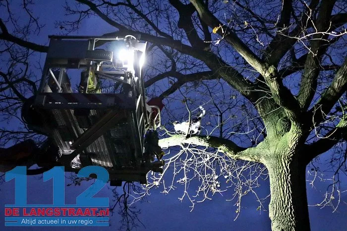 Brandweer redt kat na twee dagen uit boom Kaatsheuvel 7 Brandweer redt kat na twee dagen uit boom Kaatsheuvel 112 De Langstraat