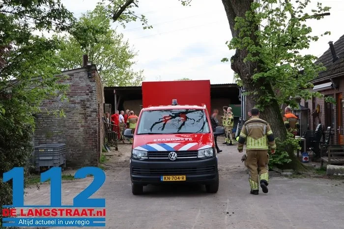 Brandweer helpt stieren die met poten vastzitten in rooster van mestput in Kaatsheuvel 1 Brandweer helpt stieren die met poten vastzitten in rooster van mestput in Kaatsheuvel 112 De Langstraat
