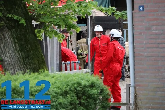 Brandweer helpt stieren die met poten vastzitten in rooster van mestput in Kaatsheuvel 4 Brandweer helpt stieren die met poten vastzitten in rooster van mestput in Kaatsheuvel 112 De Langstraat