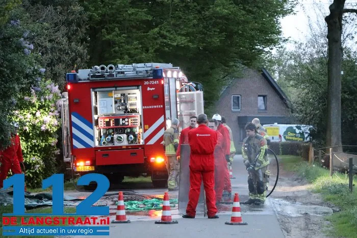 Brandweer helpt stieren die met poten vastzitten in rooster van mestput in Kaatsheuvel 10 Brandweer helpt stieren die met poten vastzitten in rooster van mestput in Kaatsheuvel 112 De Langstraat