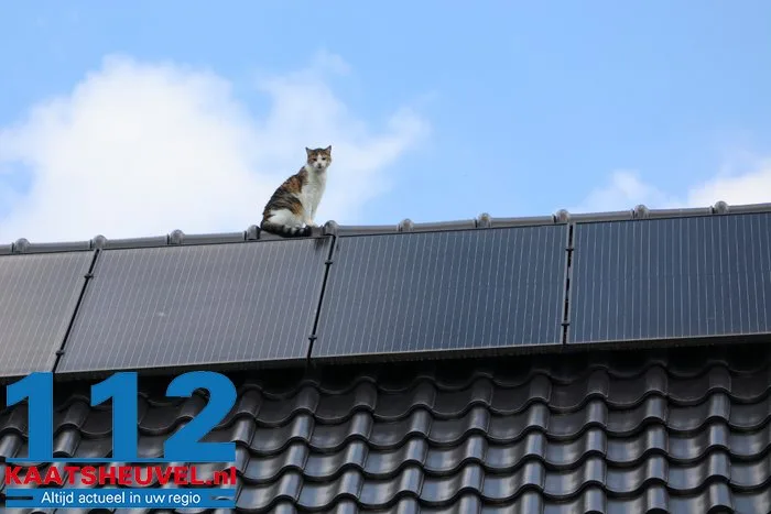 Poes Jynx gaat op avontuur en klimt via dakraam op het dak Kaatsheuvel 1 Poes Jynx gaat op avontuur en klimt via dakraam op het dak Kaatsheuvel 112 De Langstraat