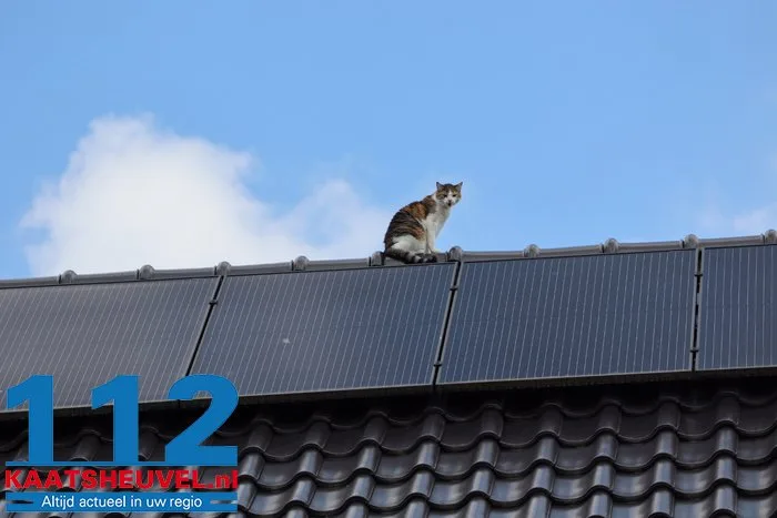 Poes Jynx gaat op avontuur en klimt via dakraam op het dak Kaatsheuvel 2 Poes Jynx gaat op avontuur en klimt via dakraam op het dak Kaatsheuvel 112 De Langstraat