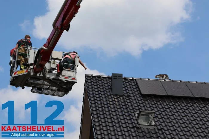 Poes Jynx gaat op avontuur en klimt via dakraam op het dak Kaatsheuvel 5 Poes Jynx gaat op avontuur en klimt via dakraam op het dak Kaatsheuvel 112 De Langstraat