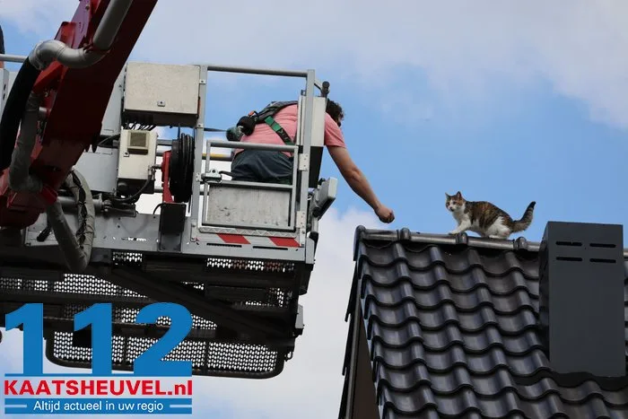 Poes Jynx gaat op avontuur en klimt via dakraam op het dak Kaatsheuvel 7 Poes Jynx gaat op avontuur en klimt via dakraam op het dak Kaatsheuvel 112 De Langstraat