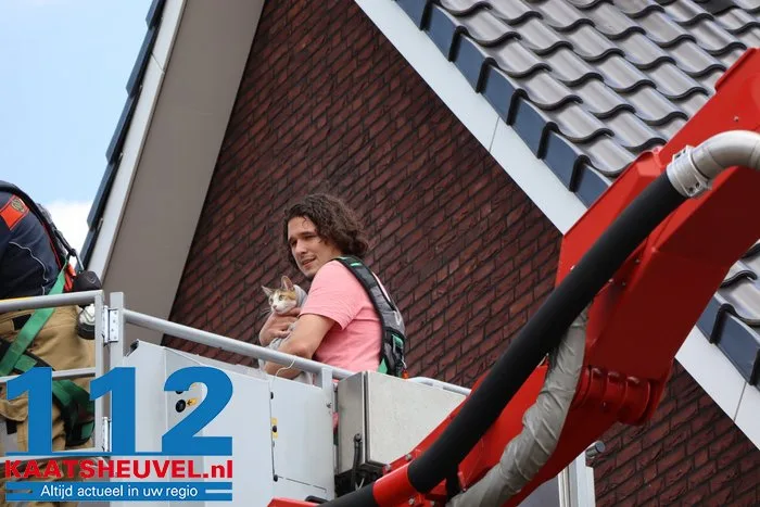 Poes Jynx gaat op avontuur en klimt via dakraam op het dak Kaatsheuvel 8 Poes Jynx gaat op avontuur en klimt via dakraam op het dak Kaatsheuvel 112 De Langstraat