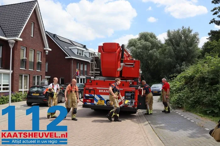 Poes Jynx gaat op avontuur en klimt via dakraam op het dak Kaatsheuvel 10 Poes Jynx gaat op avontuur en klimt via dakraam op het dak Kaatsheuvel 112 De Langstraat