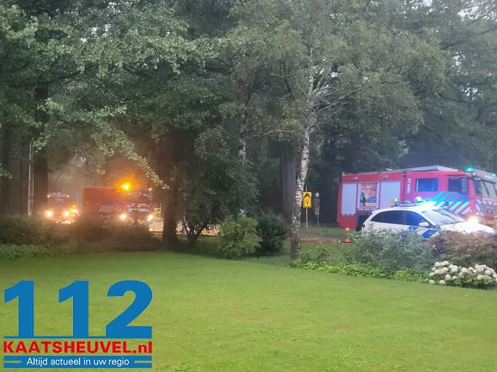Vlammen slaan uit het dak bij witlofkwekerij, eigenaar vanaf vakantieadres: ‘Dit is ontzettend schrikken, verschrikkelijk balen’ 4 Vlammen slaan uit het dak bij witlofkwekerij, eigenaar vanaf vakantieadres: ‘Dit is ontzettend schrikken, verschrikkelijk balen’ 112 De Langstraat