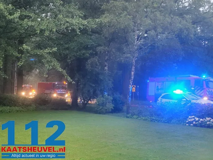 Vlammen slaan uit het dak bij witlofkwekerij, eigenaar vanaf vakantieadres: ‘Dit is ontzettend schrikken, verschrikkelijk balen’ 5 Vlammen slaan uit het dak bij witlofkwekerij, eigenaar vanaf vakantieadres: ‘Dit is ontzettend schrikken, verschrikkelijk balen’ 112 De Langstraat
