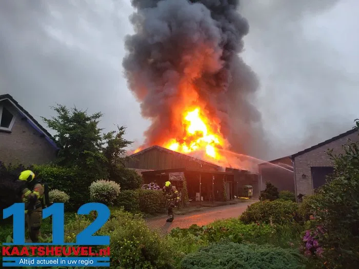 Vlammen slaan uit het dak bij witlofkwekerij, eigenaar vanaf vakantieadres: ‘Dit is ontzettend schrikken, verschrikkelijk balen’ 23 Vlammen slaan uit het dak bij witlofkwekerij, eigenaar vanaf vakantieadres: ‘Dit is ontzettend schrikken, verschrikkelijk balen’ 112 De Langstraat