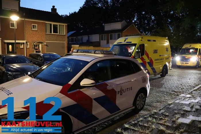 Hulpdiensten rukken uit voor door wesp gestoken man aan de Poelruitstraat Waalwijk 2 Hulpdiensten rukken uit voor door wesp gestoken man aan de Poelruitstraat Waalwijk 112 De Langstraat