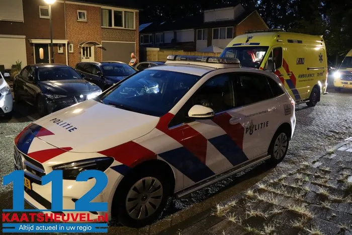 Hulpdiensten rukken uit voor door wesp gestoken man aan de Poelruitstraat Waalwijk 3 Hulpdiensten rukken uit voor door wesp gestoken man aan de Poelruitstraat Waalwijk 112 De Langstraat