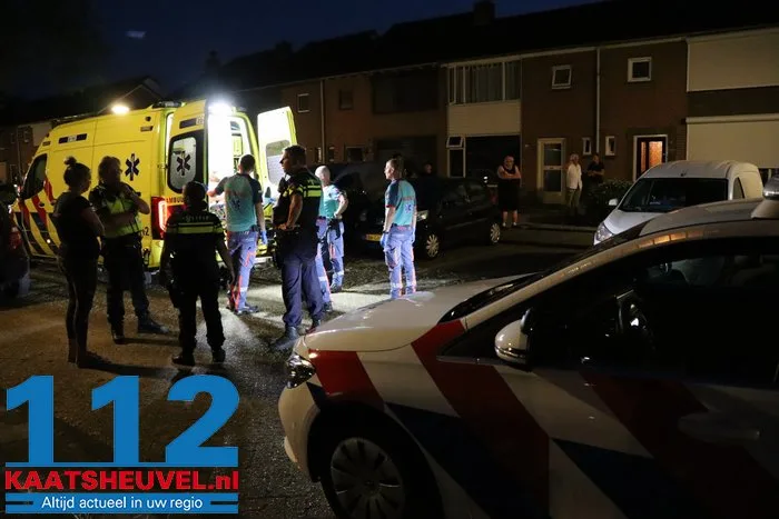 Hulpdiensten rukken uit voor door wesp gestoken man aan de Poelruitstraat Waalwijk 7 Hulpdiensten rukken uit voor door wesp gestoken man aan de Poelruitstraat Waalwijk 112 De Langstraat