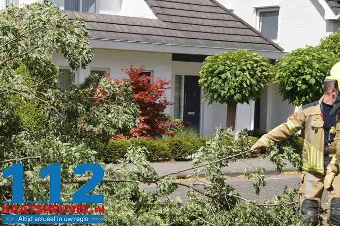 Twee bomen gesneuveld door storm aan de Vincent van Goghlaan Waalwijk 4 Twee bomen gesneuveld door storm aan de Vincent van Goghlaan Waalwijk 112 De Langstraat