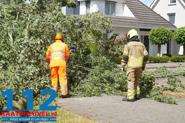 Twee bomen gesneuveld door storm aan de Vincent van Goghlaan Waalwijk 5 Twee bomen gesneuveld door storm aan de Vincent van Goghlaan Waalwijk 112 De Langstraat