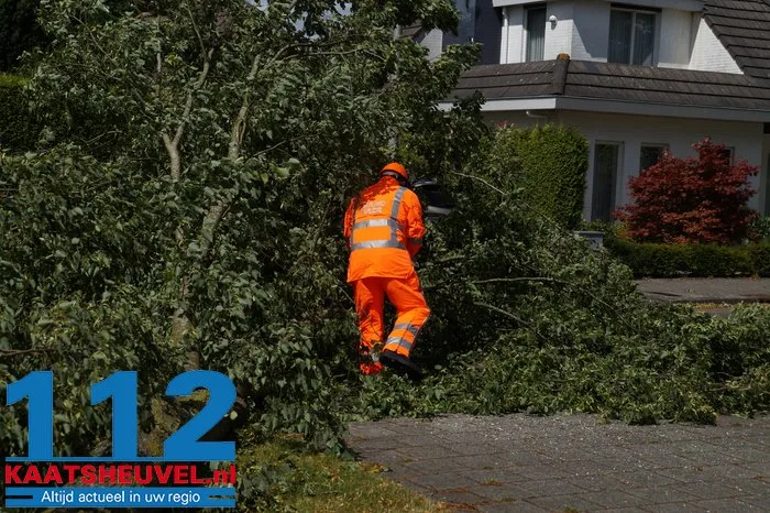 Twee bomen gesneuveld door storm aan de Vincent van Goghlaan Waalwijk 6 Twee bomen gesneuveld door storm aan de Vincent van Goghlaan Waalwijk 112 De Langstraat