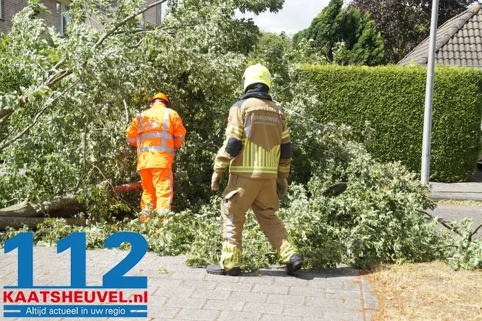 Twee bomen gesneuveld door storm aan de Vincent van Goghlaan Waalwijk 7 Twee bomen gesneuveld door storm aan de Vincent van Goghlaan Waalwijk 112 De Langstraat