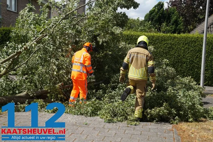 Twee bomen gesneuveld door storm aan de Vincent van Goghlaan Waalwijk 8 Twee bomen gesneuveld door storm aan de Vincent van Goghlaan Waalwijk 112 De Langstraat