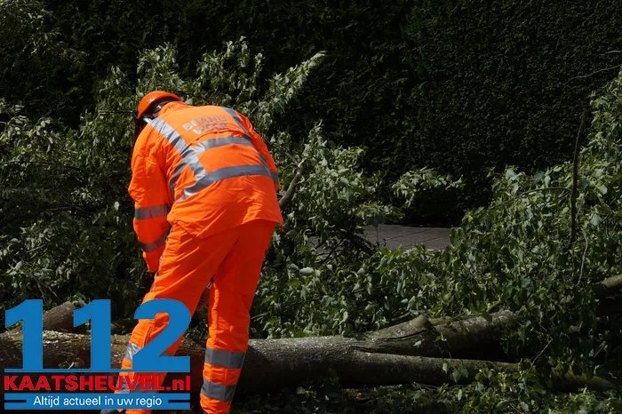 Twee bomen gesneuveld door storm aan de Vincent van Goghlaan Waalwijk 13 Twee bomen gesneuveld door storm aan de Vincent van Goghlaan Waalwijk 112 De Langstraat