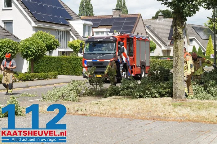 Twee bomen gesneuveld door storm aan de Vincent van Goghlaan Waalwijk 14 Twee bomen gesneuveld door storm aan de Vincent van Goghlaan Waalwijk 112 De Langstraat