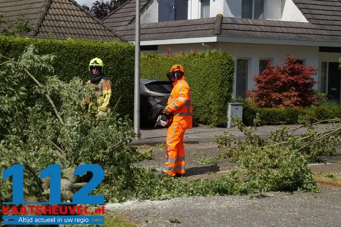 Twee bomen gesneuveld door storm aan de Vincent van Goghlaan Waalwijk 15 Twee bomen gesneuveld door storm aan de Vincent van Goghlaan Waalwijk 112 De Langstraat
