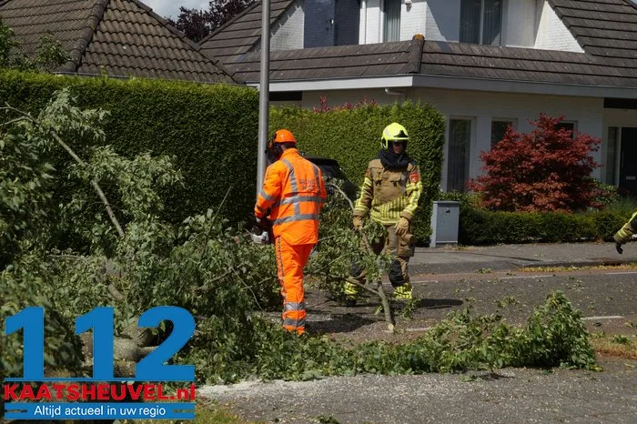 Twee bomen gesneuveld door storm aan de Vincent van Goghlaan Waalwijk 16 Twee bomen gesneuveld door storm aan de Vincent van Goghlaan Waalwijk 112 De Langstraat