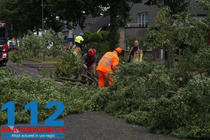 Twee bomen gesneuveld door storm aan de Vincent van Goghlaan Waalwijk 17 Twee bomen gesneuveld door storm aan de Vincent van Goghlaan Waalwijk 112 De Langstraat