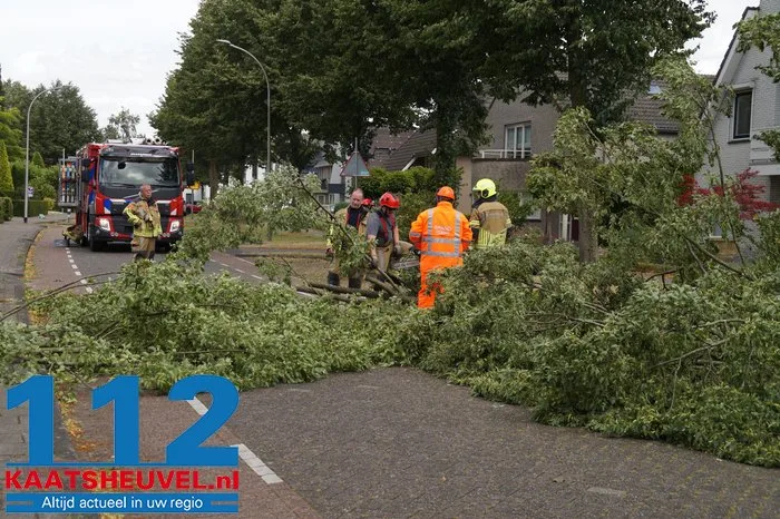 Twee bomen gesneuveld door storm aan de Vincent van Goghlaan Waalwijk 18 Twee bomen gesneuveld door storm aan de Vincent van Goghlaan Waalwijk 112 De Langstraat