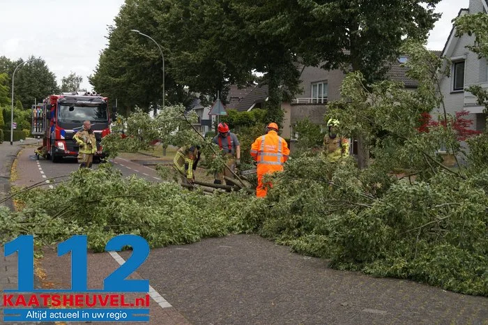 Twee bomen gesneuveld door storm aan de Vincent van Goghlaan Waalwijk 19 Twee bomen gesneuveld door storm aan de Vincent van Goghlaan Waalwijk 112 De Langstraat