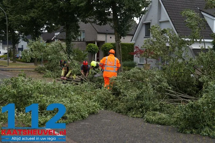 Twee bomen gesneuveld door storm aan de Vincent van Goghlaan Waalwijk 20 Twee bomen gesneuveld door storm aan de Vincent van Goghlaan Waalwijk 112 De Langstraat