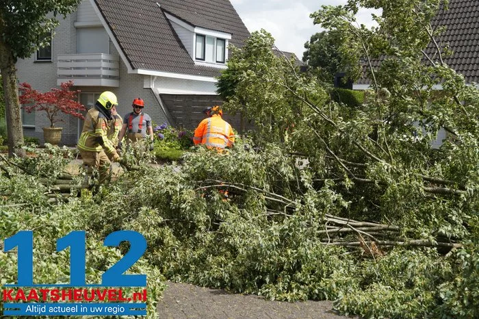 Twee bomen gesneuveld door storm aan de Vincent van Goghlaan Waalwijk 22 Twee bomen gesneuveld door storm aan de Vincent van Goghlaan Waalwijk 112 De Langstraat