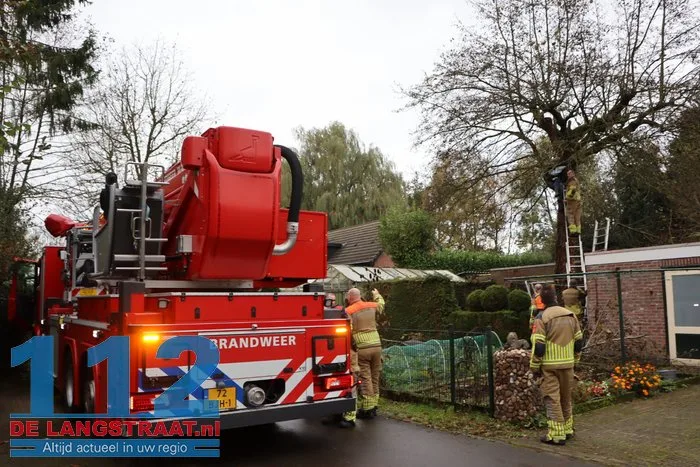 Man met hoogwerker uit boom gered Sprang-Capelle 1 Man met hoogwerker uit boom gered Sprang-Capelle 112 De Langstraat