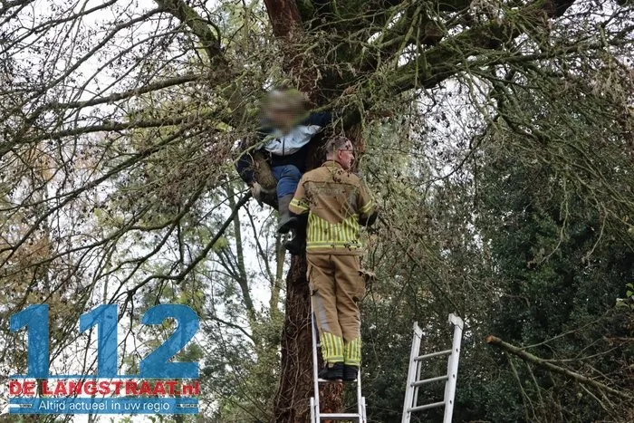 Man met hoogwerker uit boom gered Sprang-Capelle 3 Man met hoogwerker uit boom gered Sprang-Capelle 112 De Langstraat