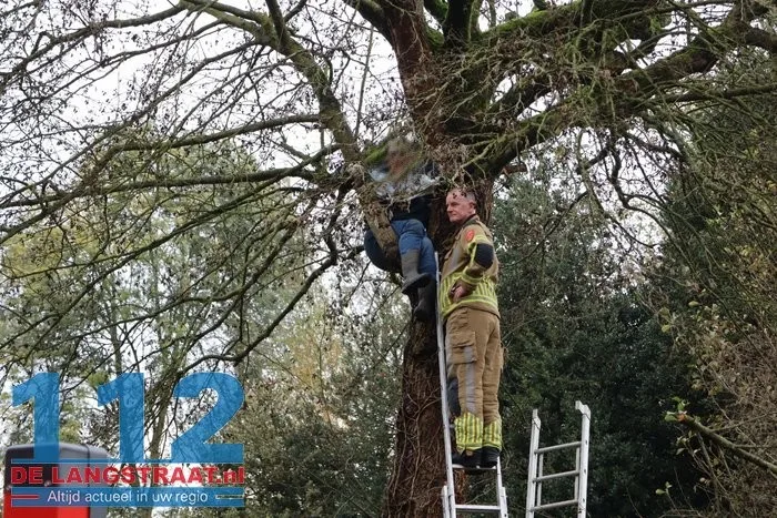 Man met hoogwerker uit boom gered Sprang-Capelle 4 Man met hoogwerker uit boom gered Sprang-Capelle 112 De Langstraat