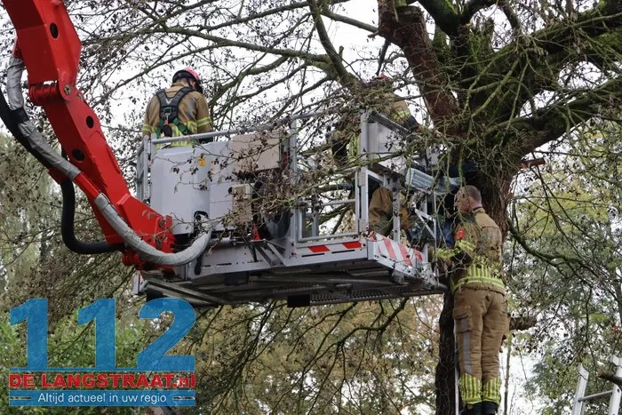 Man met hoogwerker uit boom gered Sprang-Capelle 5 Man met hoogwerker uit boom gered Sprang-Capelle 112 De Langstraat