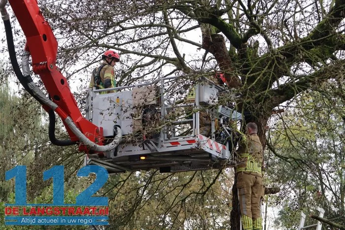 Man met hoogwerker uit boom gered Sprang-Capelle 6 Man met hoogwerker uit boom gered Sprang-Capelle 112 De Langstraat
