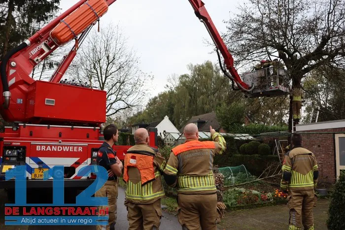 Man met hoogwerker uit boom gered Sprang-Capelle 7 Man met hoogwerker uit boom gered Sprang-Capelle 112 De Langstraat