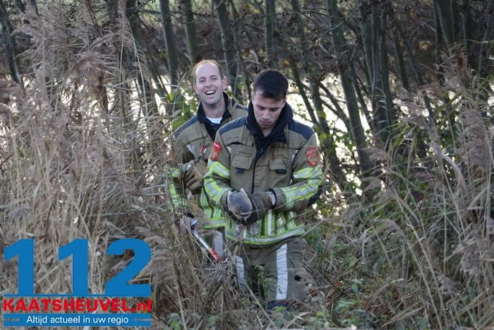Brandweer Sprang-Capelle bevrijdt uil die vastzit in boom door visdraad 112 De Langstraat