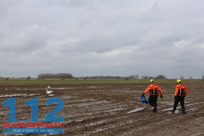 Gewonde zwanen zitten vast in de modder, brandweer schiet te hulp 2 Gewonde zwanen zitten vast in de modder, brandweer schiet te hulp 112 De Langstraat