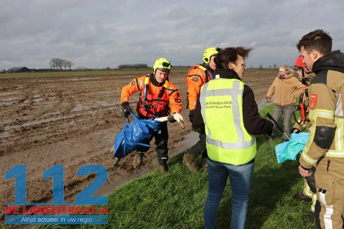 Gewonde zwanen zitten vast in de modder, brandweer schiet te hulp 17 Gewonde zwanen zitten vast in de modder, brandweer schiet te hulp 112 De Langstraat