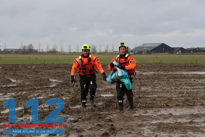 Gewonde zwanen zitten vast in de modder, brandweer schiet te hulp 24 Gewonde zwanen zitten vast in de modder, brandweer schiet te hulp 112 De Langstraat