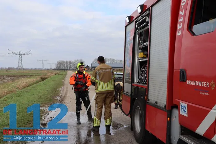 Gewonde zwanen zitten vast in de modder, brandweer schiet te hulp 31 Gewonde zwanen zitten vast in de modder, brandweer schiet te hulp 112 De Langstraat