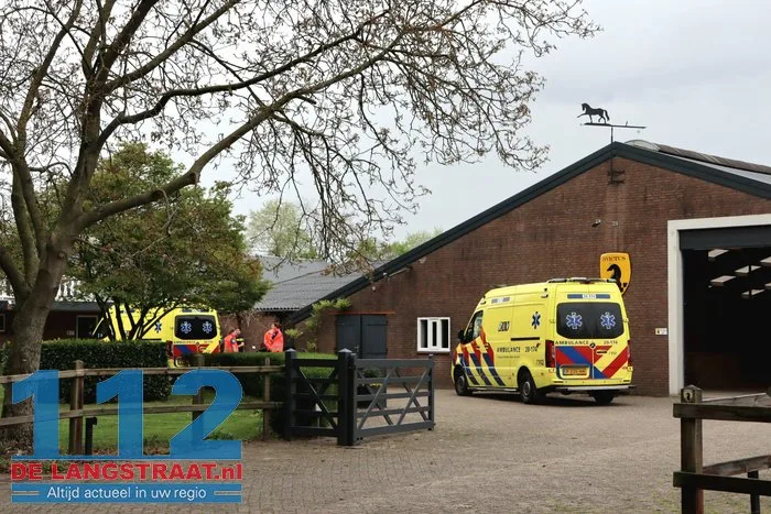 Vrouw zwaargewond door trap van paard in De Moer 4 Vrouw zwaargewond door trap van paard in De Moer 112 De Langstraat