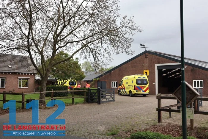 Vrouw zwaargewond door trap van paard in De Moer 5 Vrouw zwaargewond door trap van paard in De Moer 112 De Langstraat