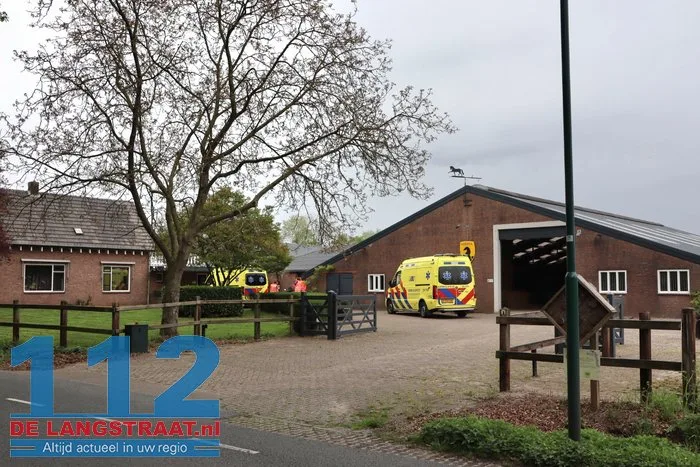 Vrouw zwaargewond door trap van paard in De Moer 6 Vrouw zwaargewond door trap van paard in De Moer 112 De Langstraat