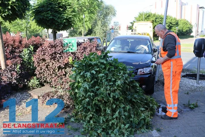 Auto vliegt tuin in na botsing in Waalwijk, bestuurder lichtgewond 17 Auto vliegt tuin in na botsing in Waalwijk, bestuurder lichtgewond 112 De Langstraat
