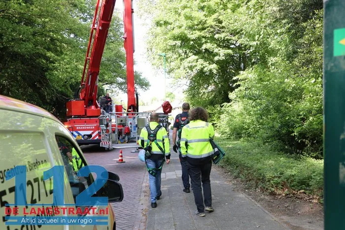 Nijlgans zet boel op stelten Dongen, hulpdiensten komen voor niets 11 Nijlgans zet boel op stelten Dongen, hulpdiensten komen voor niets 112 De Langstraat