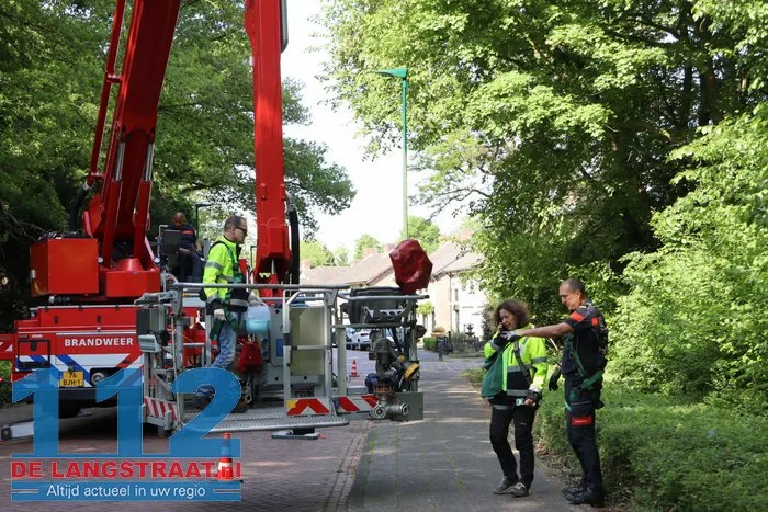 Nijlgans zet boel op stelten Dongen, hulpdiensten komen voor niets 13 Nijlgans zet boel op stelten Dongen, hulpdiensten komen voor niets 112 De Langstraat